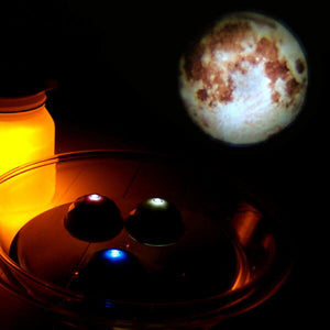 バスライト/「プロジェクタードーム」