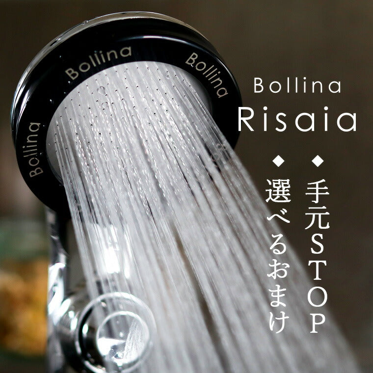 シャワーヘッド ボリーナ リザイア Bollina Risaia（シルバー）手元ストップ付き