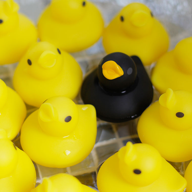 バストイ「Chapoon（チャプーン）」あひる風呂[CP-3355] – バスグッズ