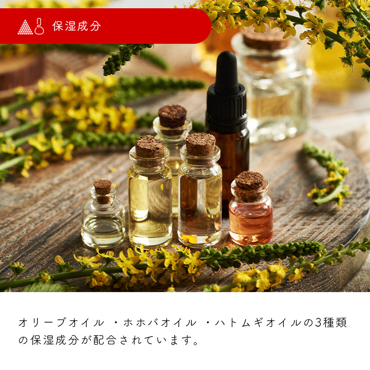 Ohtsuさん専用　Lost Atlas　ボムバスターズインサートセット Ohtsuさん専用 Lost Atlas ボムバスターズインサートセット Ohtsuさん