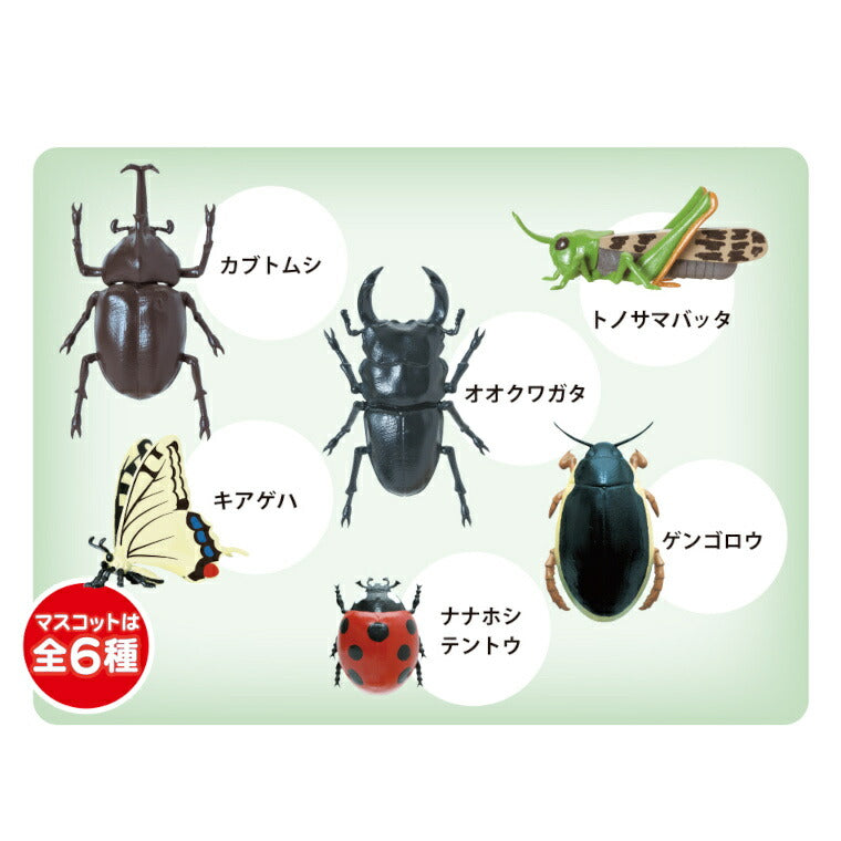 入浴剤「学研の図鑑ライブ」昆虫バスボール– バスグッズ専門店公式通販