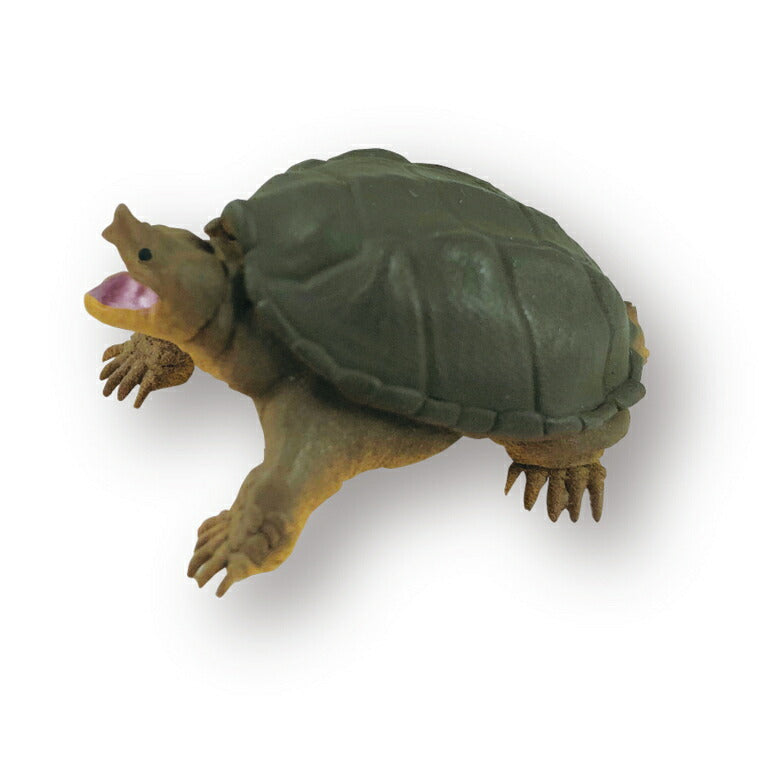 入浴剤「学研の図鑑ライブ」危険生物バスボール – バスグッズ専門店