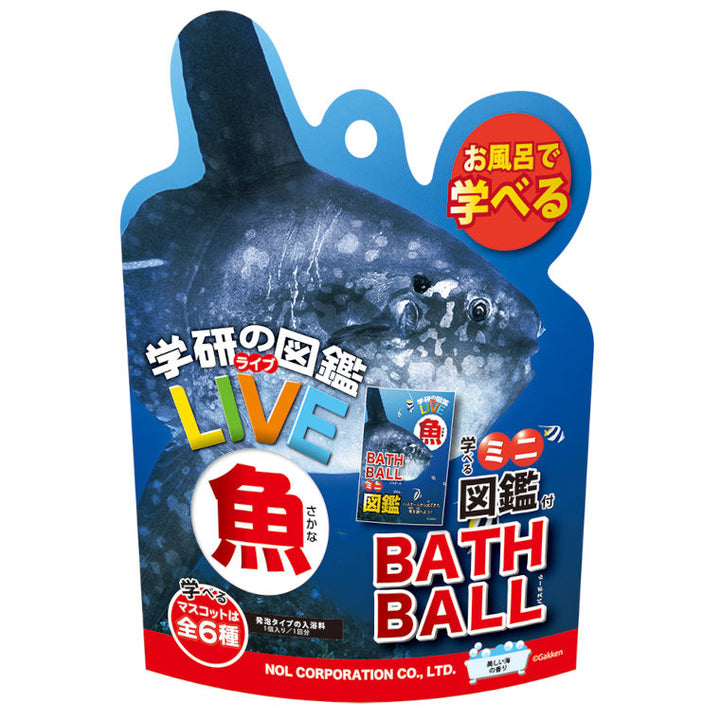 1080-331222-r1_720x.jpg?v=