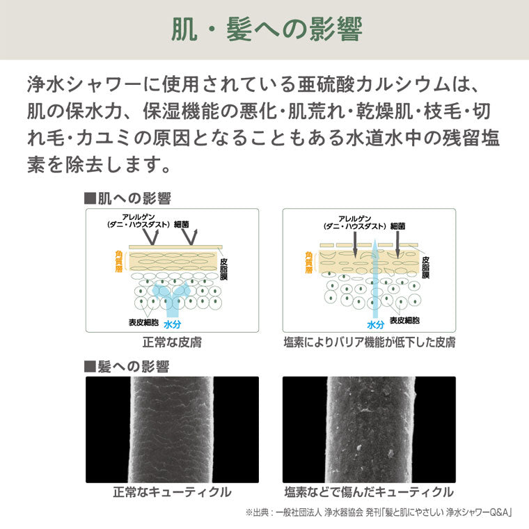シャワーヘッド「SANEI」FB浄水ミストシャワーヘッド／SUIN – バス