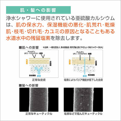 SANEI 浄水ファインバブルシャワーセット (ウルトラファインバブル発生装置付き)