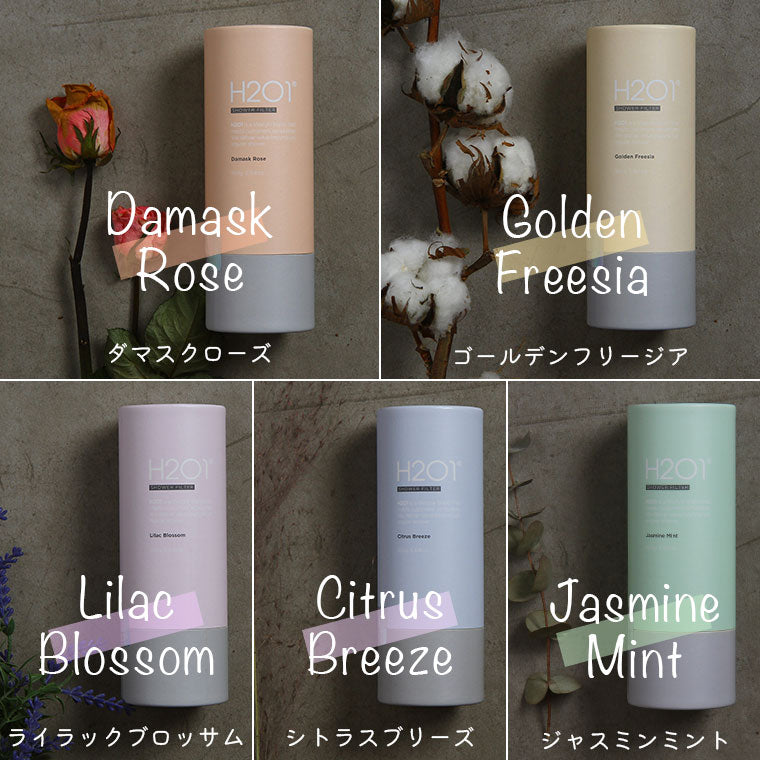 H201シャワーフィルター・選べる2本セット【正規販売店】 – バス