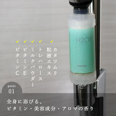 H201シャワーフィルター・選べる2本セット【正規販売店】