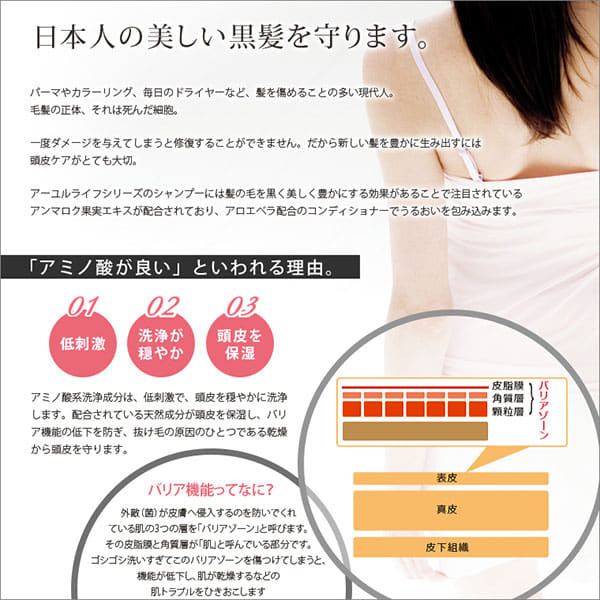 アミノ酸シャンプー「生活の木」トニックシャンプー（アムラ