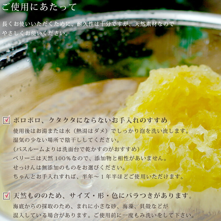 海綿スポンジ　世界最大？ 1051-800058-00-r9_720x.jpg?v=