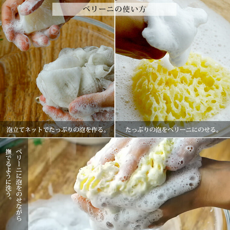 高品質天然海綿 「ベリーニSA16」（ハニコム種）スポンジ – バス