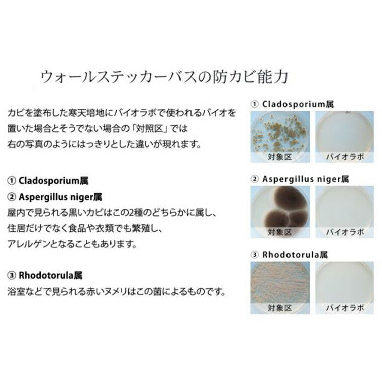 防カビ「バイオラボ」防カビ＆消臭ウォールケース／バス（ホワイト