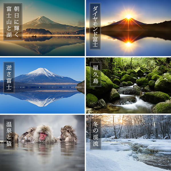 専用⑥⑫⑬お風呂ポスター 高 品質ベビー・キッズ - ☆専用☆⑥⑫⑬お風呂ポスター